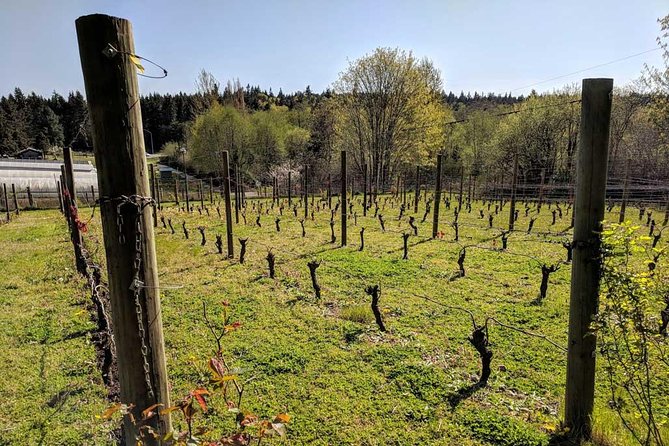 Full-Day Small-Group Bainbridge Island Wine and History Tour - Key Points