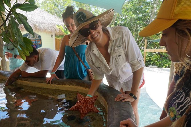 Full-Day Tour of Florida Keys Including Aquarium Encounters From Key West - Tour Overview and Highlights