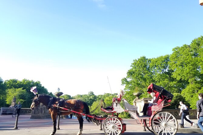 Full Loop Private Horse Carriage Ride in Central Park 45 Minutes - Key Points