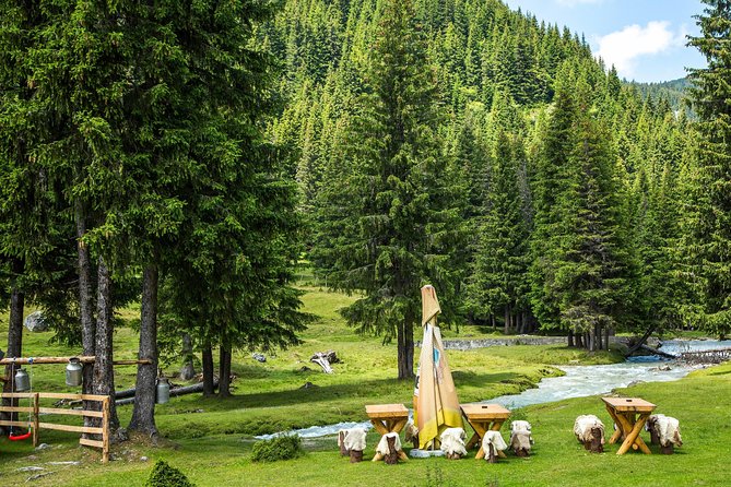 Fun Into the Wild – One Day Tour From Bucharest