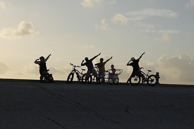 Galveston Island Art & Mural E-Bike Tour - Key Points