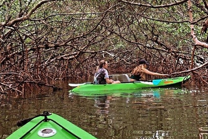 Glass Bottom Kayak Mangrove Tunnel & Sandbar Adventure Sarasota - About Your Stay
