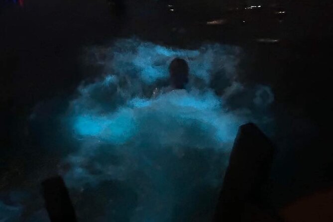 Glistening Waters Luminous Lagoon Night Tour With French Guide - Key Points