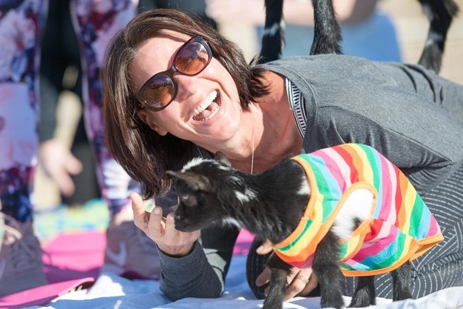 Goat and Alpaca Yoga in Arizona - Exploring the Outdoor Venue