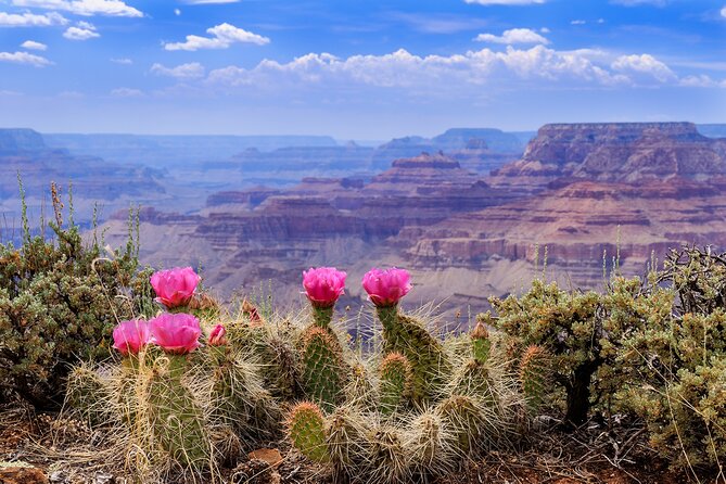Grand Canyon, Antelope, Bryce & Zion, 3-Day Tour From Vegas - Good To Know