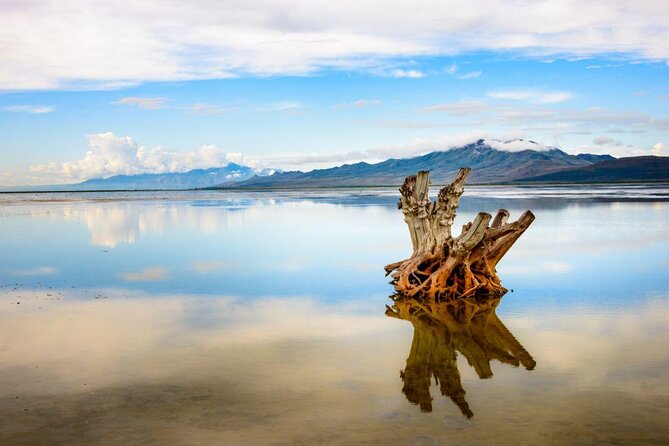 Great Salt Lake Guided Bus Tour From Salt Lake City - Good To Know