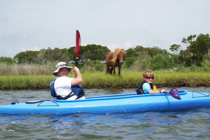 Guided Assateague Kayaking and Wildlife Discovery Tour - Overview of the Tour