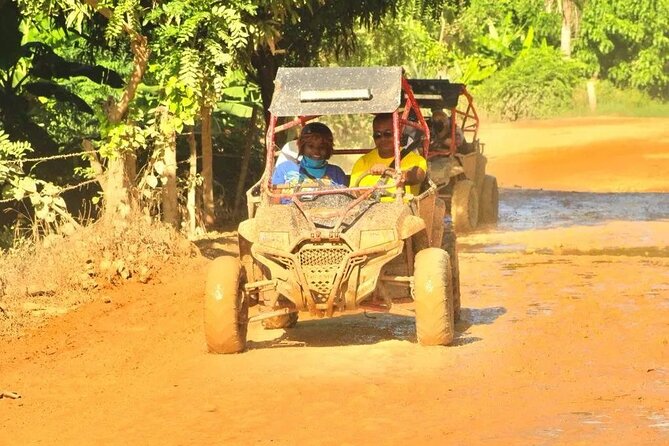Guided Buggy Tour of Punta Cana - Key Points