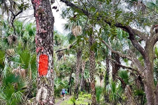 Guided Day Hike Through Floridas Wild Backcountry. - About Your Stay