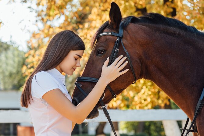 Guided Experience to Learn About Horses and Horse Care - Key Points