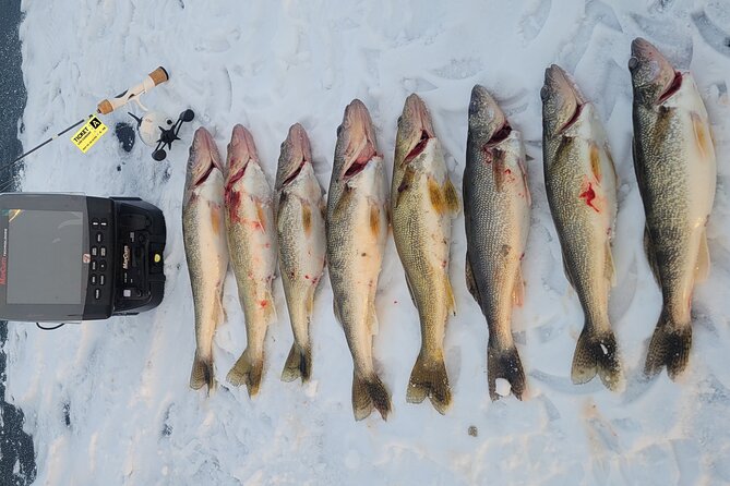 Guided Fishing Adventures in Castle Rock Lake