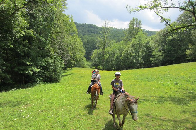 Guided Horseback Ride Through Flame Azalea and Fern Forest - Overview and Experience