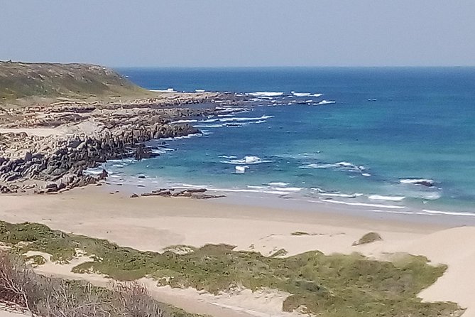 Guided Marine Walk: - Sardinia Bay (Marine Protected Area) - 2 Hours - Key Points