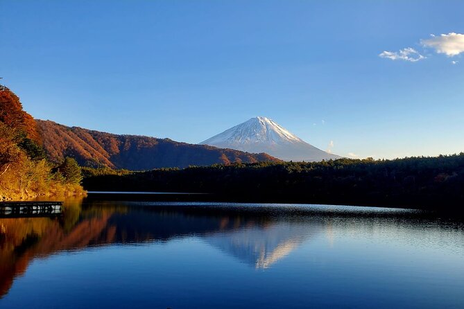 Guided Shimizu Port to Mt. Fuji Private Tour GREEN NUMBER PLATES - Discovering Oshino Hakkai