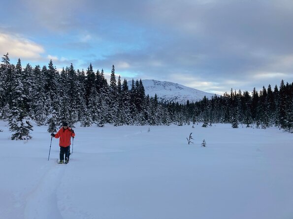 Guided Snowshoeing Adventure in Seward, Alaska - Tour Overview