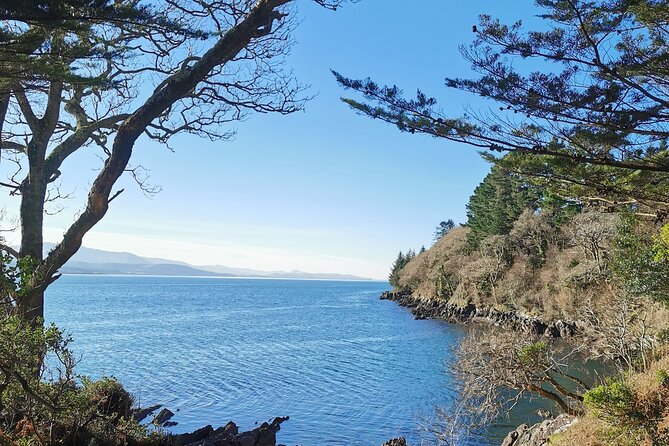 Guided Tour The Ring of Kerry, Skellig Ring and Valencia Island - Key Points