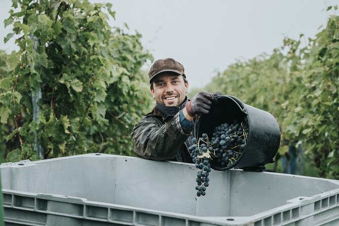 Guided Tour With a Unique Wine Tasting - Key Points