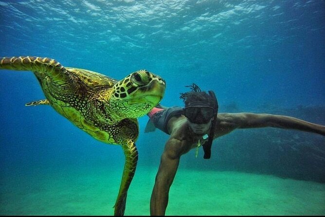 Guided West Shore Snorkel Tour