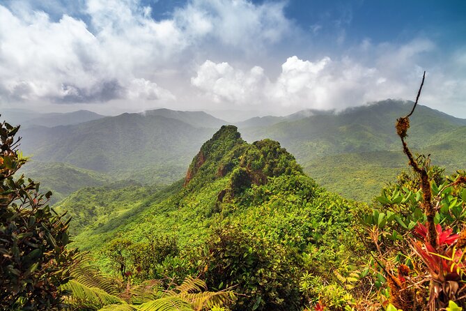 Half Day Adventure Private Tour in El Yunque Rainforest - Key Points