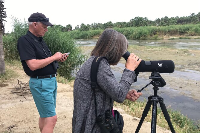 Half-Day Bird Watching Endemics Activity in Los Cabos - Key Points