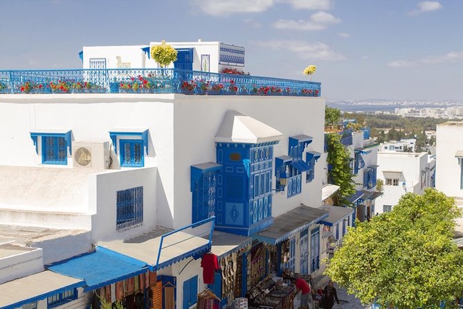 Half-Day Carthage, Sidi Bou Said Private Tour With Licensed Guide - Key Points