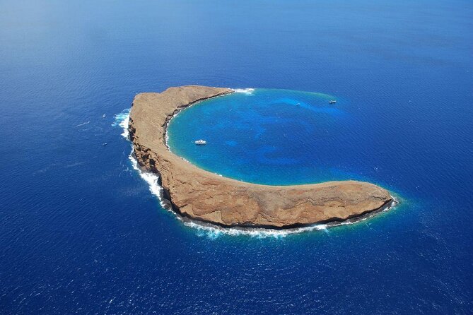 Half-Day Deluxe Molokini Snorkel Excursion in Maui - Good To Know