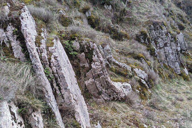 Half-Day Guided Hiking in Spoleto - Key Points