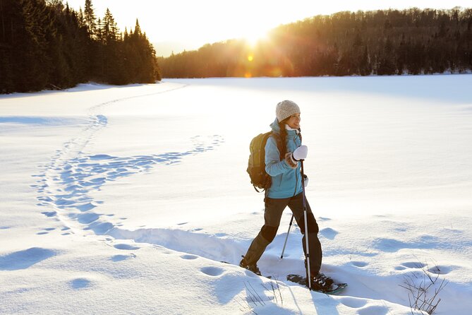 Half Day Guided Snowshoe Tour Review - Good To Know