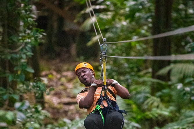 Half-Day Hiking Adventure With Aerial Tram & Zipline in St Lucia - Key Points