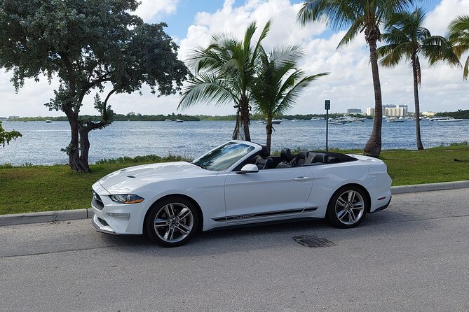 Half-Day Miami Tour by Convertible Mustang Review - Overview of the Tour Experience