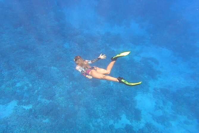Half Day Private Cruise Tour With Snorkeling Review - Good To Know