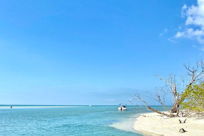 Half-Day Private Tiki Boat Beach Tour From Fort Myers - Good To Know