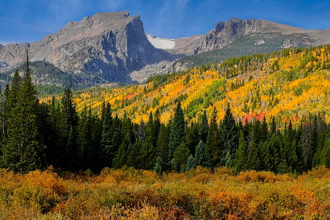 Half-Day Rocky Mountain National Park Mountains to Sky Tour - RMNPhotographer - Good To Know