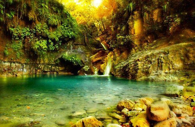 Half-Day Tour in 12 Waterfalls of Damajagua From Puerto Plata - Key Points