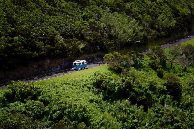 Half-Day VW Samba Private Bus Tour Around Faial Island - Overview of the Tour