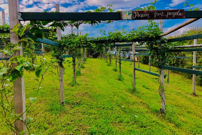Hamakua Coast Farm Tour Review - Good To Know