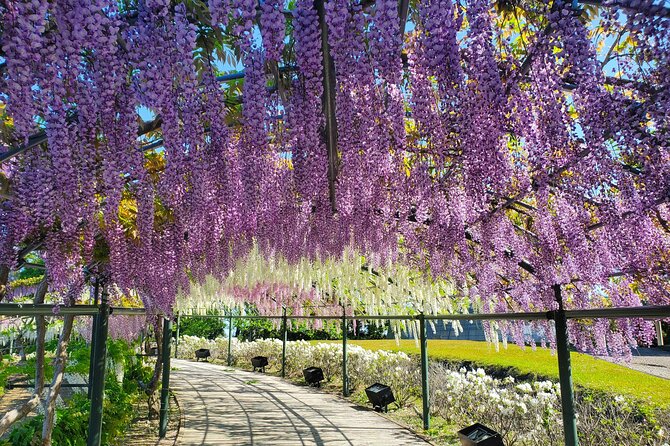 Hamamatsu Flower Park & Lake Hamana Private Tour With Public Bus - Key Points