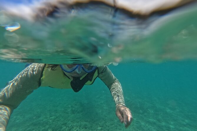 Hanauma Bay Guided Snorkeling Tour With Transportation - Good To Know