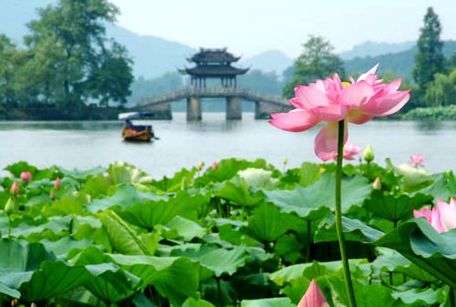 Hangzhou Private One Day Trip From Shanghai by Bullet Train