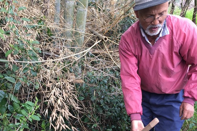 Harvest Experience (Rural Cuisine Using Seasonal Vegetables) - Good To Know