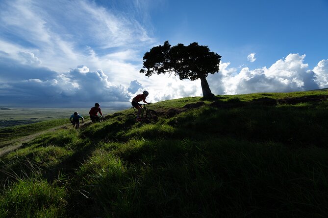 Hawaii E-Mountain Bike Ride - Key Points