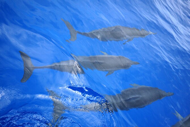 Hawaiian Sail and Snorkel in Kailua-Kona, Hawaii - Overview of the Hawaiian Sail and Snorkel Experience