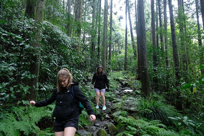 Hike Japan Heritage Hakone Hachiri (Half Day) - Key Points