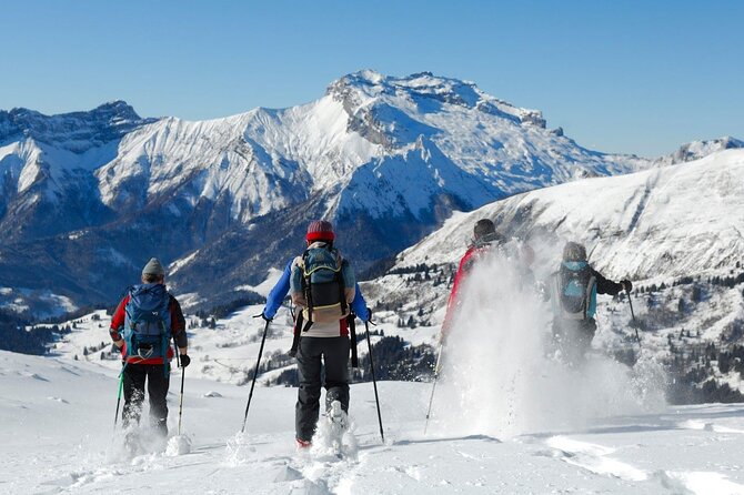 Hiking in Chamonix With a Guide - Key Points