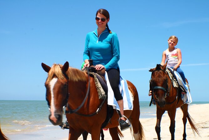 Horse Back Riding and Blue Hole Ocho Rios Private Tour - Overview of the Tour
