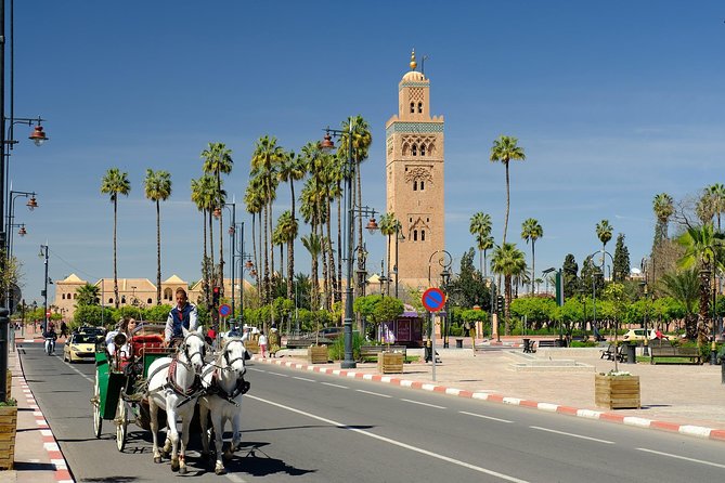 Horse Carriage Ride in Marrakech - Key Points