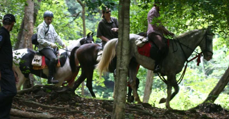 Horse Riding in Nuwara Eliya - Good To Know