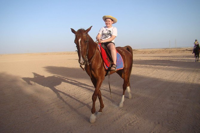 Horseback Or Camel Riding One Hour With Transfer - Sharm El Sheikh - Key Points
