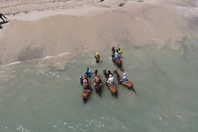 Horseback Ride and Swim in Ocho Rios With Transportation - Booking Policies