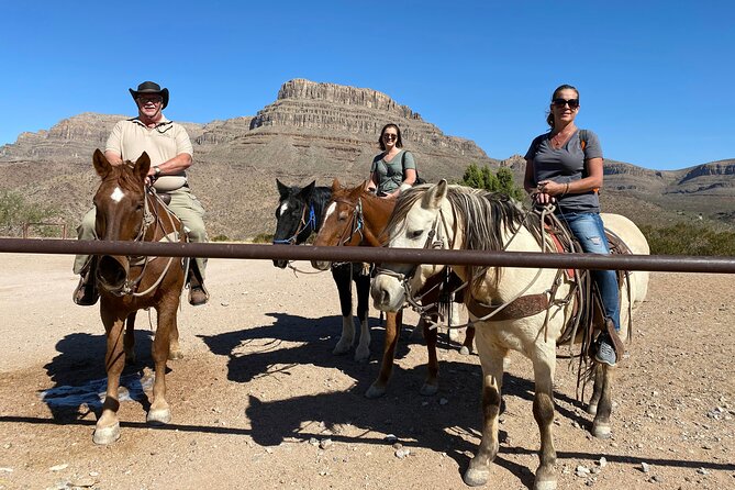 Horseback Ride, Joshua Tree Forest, Buffalo, Lunch Singing Cowboy - Key Points
